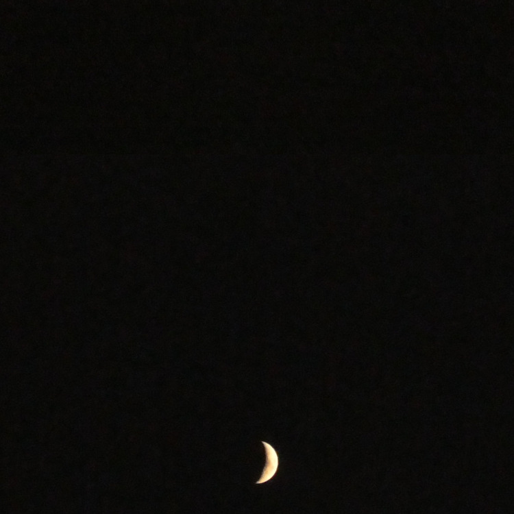 nuits